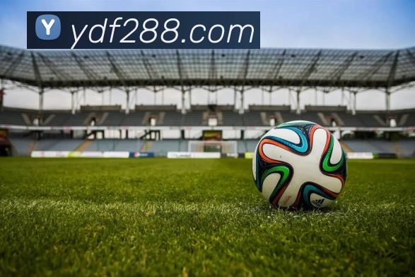 壹定发官网服务体系